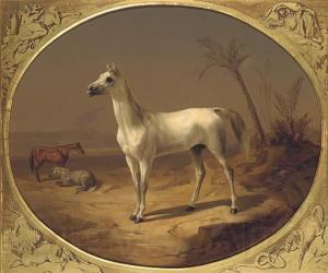 Theodor Horschelt A Grey Arabian Horse Germany oil painting art